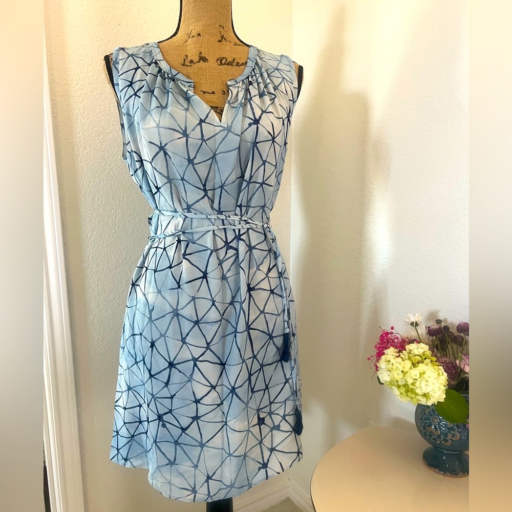 Simply Vera Wang Dress
